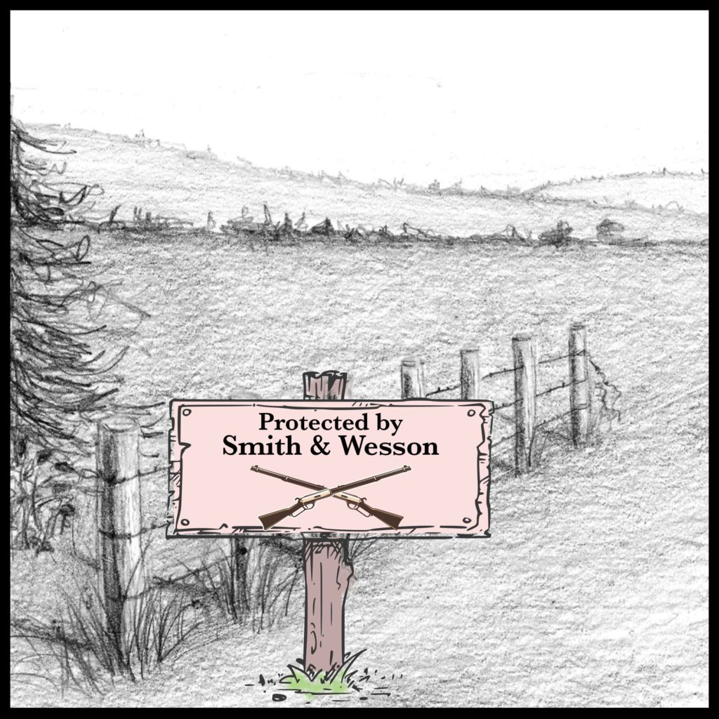 protected by smith & wesson pic